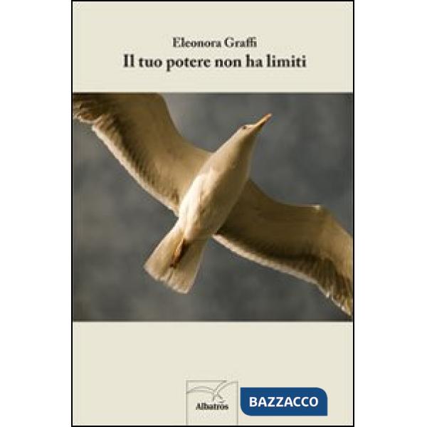 Tuo potere non ha limiti (Il)
