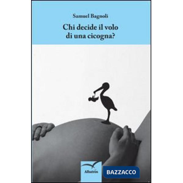 Chi decide il volo di una cicogna?