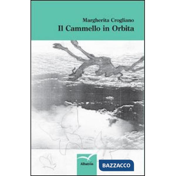 Cammello in orbita (Il)