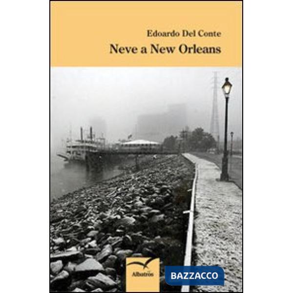 Neve a New Orleans