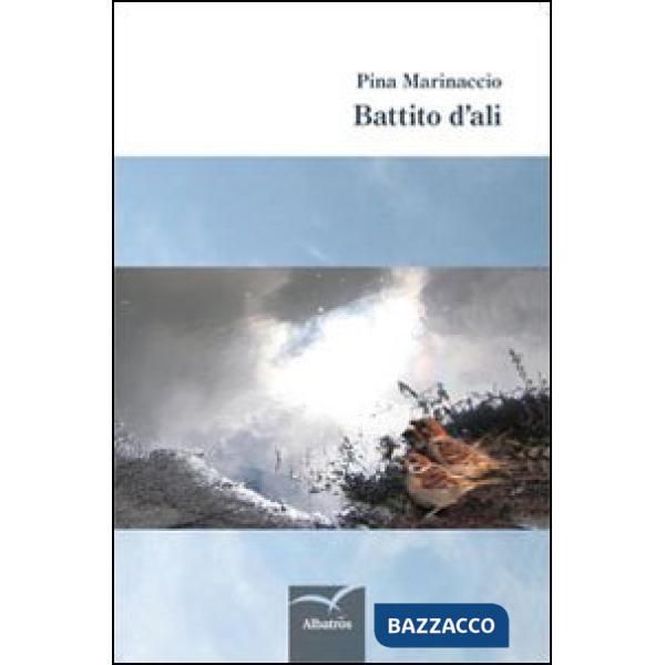 Battito d'ali