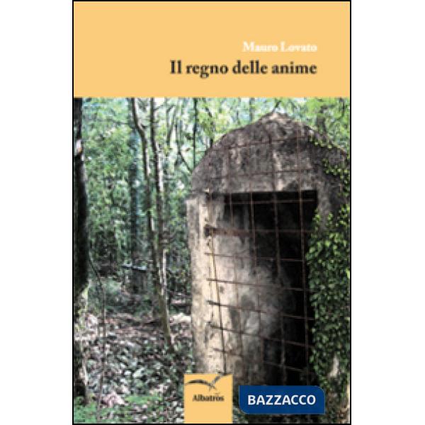 Regno delle anime (Il)