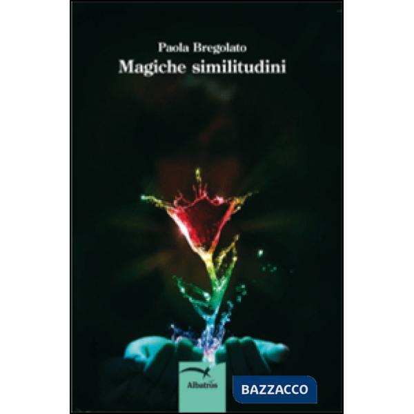 Magiche similitudini