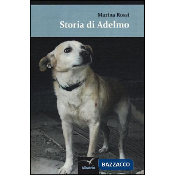 Storia di Adelmo