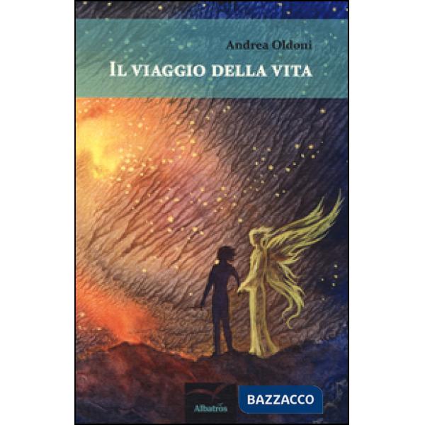 Viaggio della vita (Il)