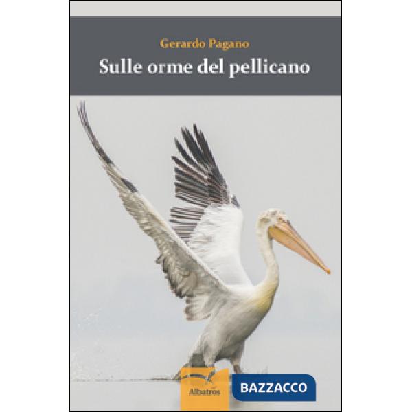 Sulle orme del pellicano