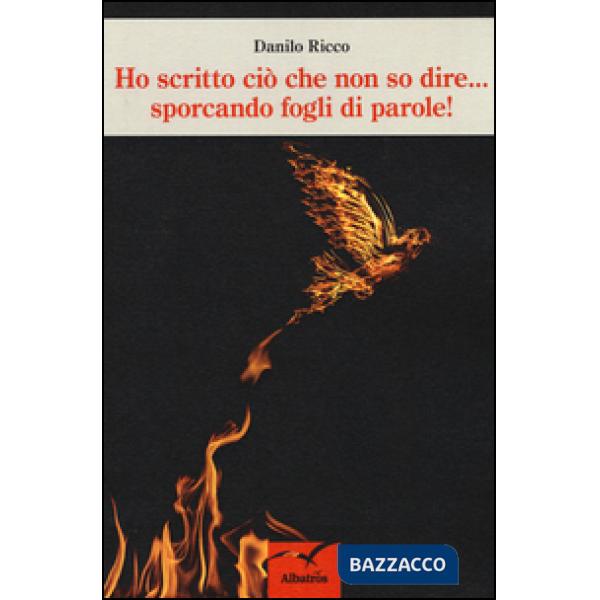 Ho scritto ciò che non so dire... sporcando fogli di parole!