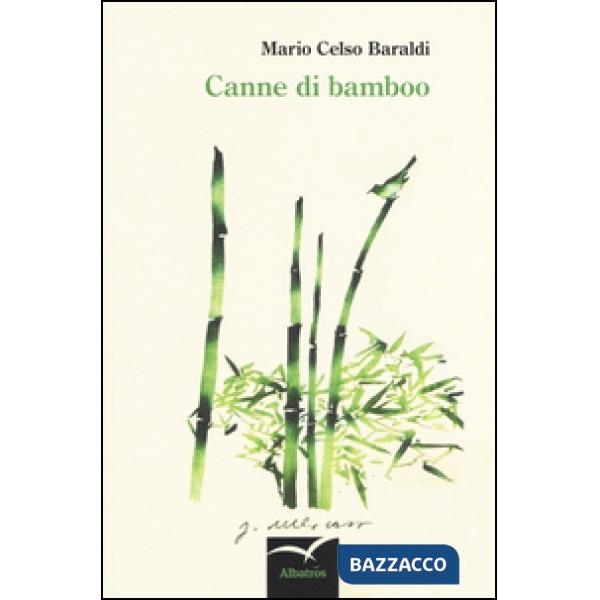 Canne di bamboo