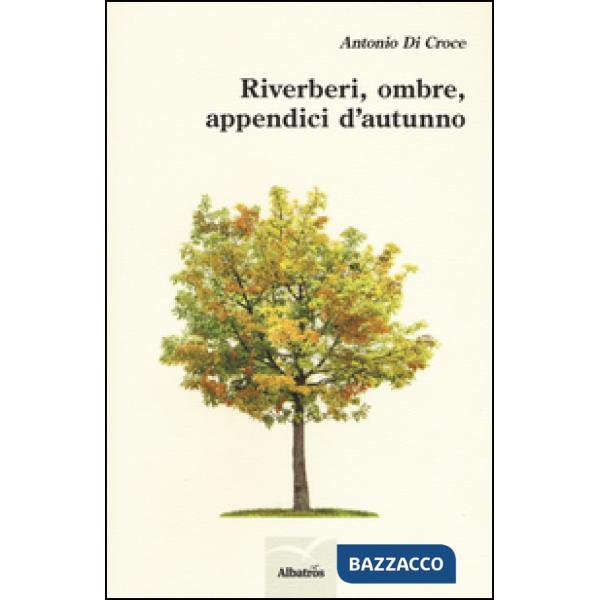 Riverberi, ombre, appendici d'autunno