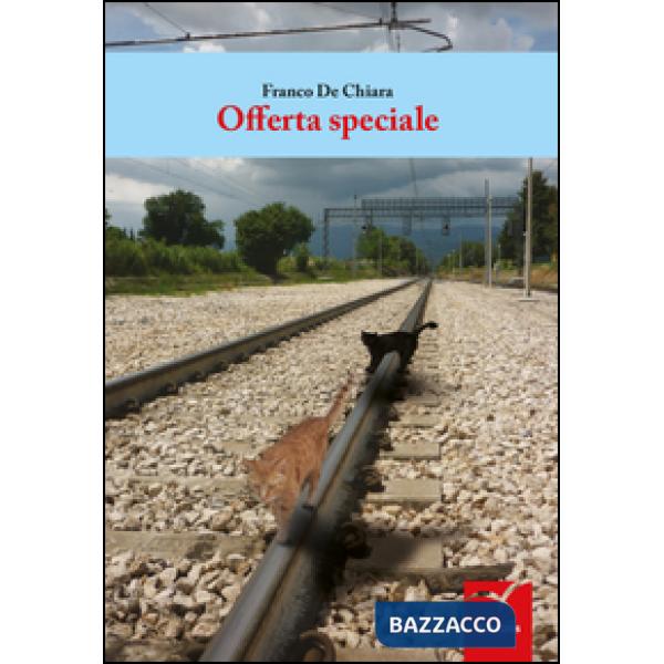 Offerta speciale