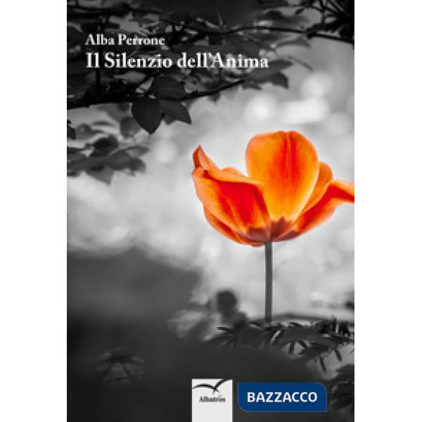 Silenzio dell'anima (Il)