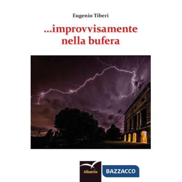 ... improvvisamente nella bufera