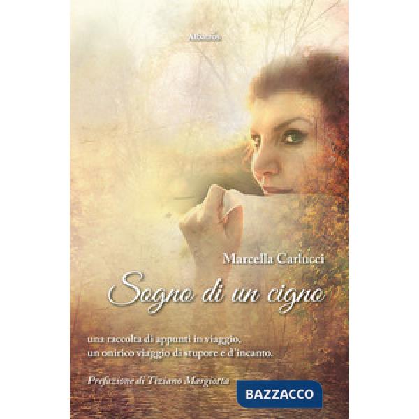 Sogno di un cigno