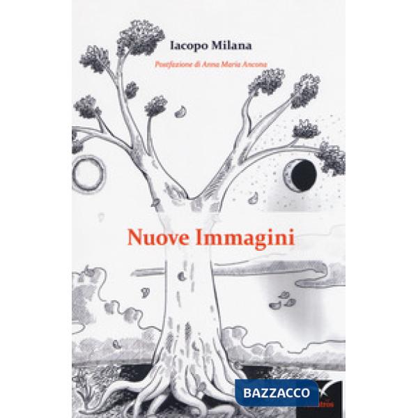 Nuove immagini