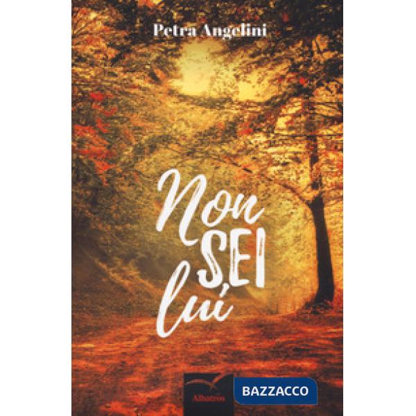 Non sei lui