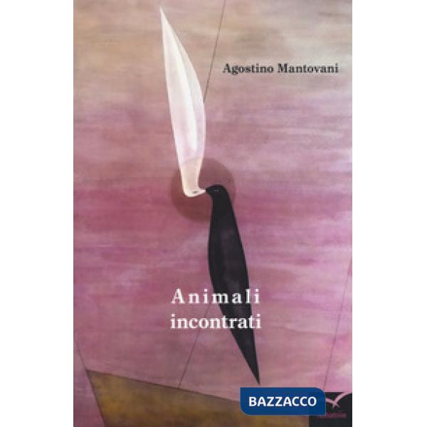 Animali incontrati