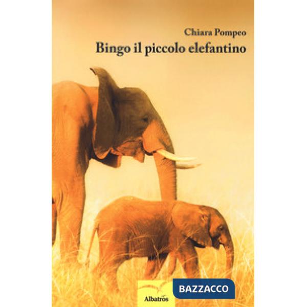 Bingo il piccolo elefantino