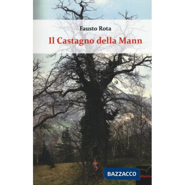 Castagno della Mann (Il)