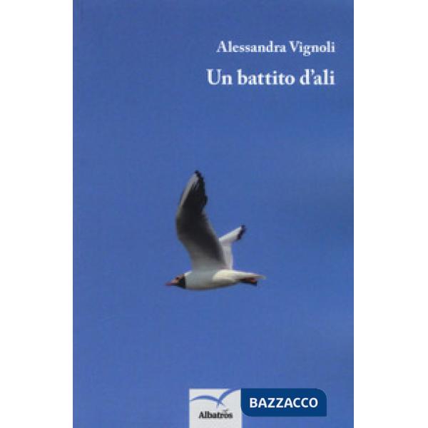 Battito d'ali (Un)