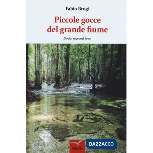 Piccole gocce del grande fiume. Dodici racconti brevi