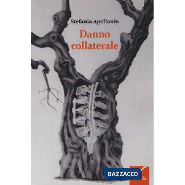 Danno collaterale