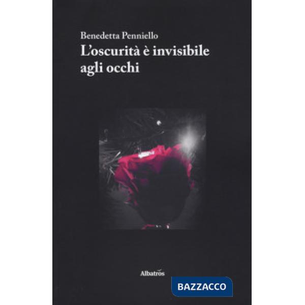 Oscurità è invisibile agli occhi (L')