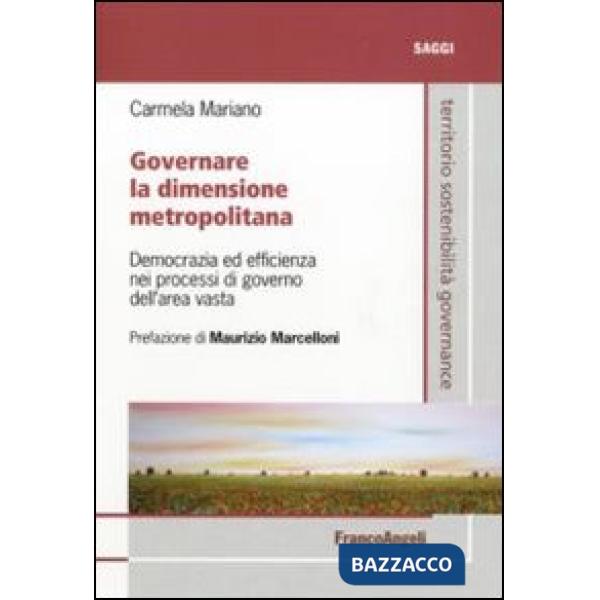 Governare la dimensione metropolitana. Democrazia ed efficienza nei processi di governo dell'area vasta