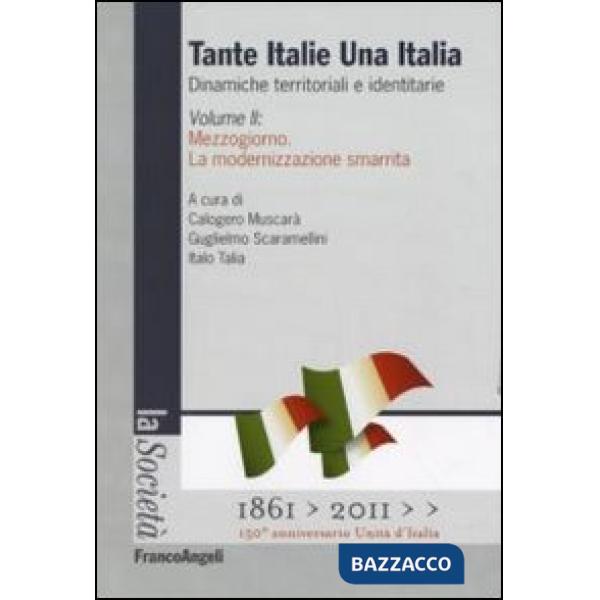 Tante Italie una Italia. Dinamiche territoriali e identitarie. Vol. 2: Mezzogiorno. La modernizzazione smarrita