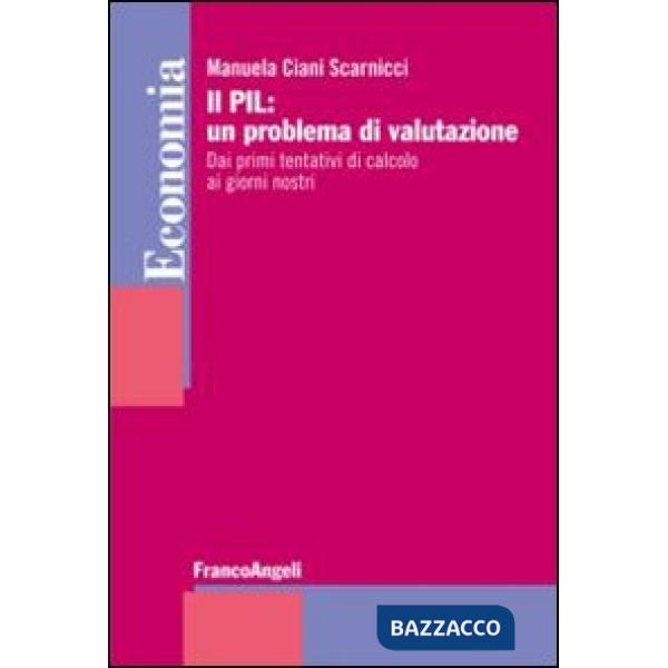 PIL: un problema di valutazione. Dai primi tentativi di calcolo ai giorni nostri (Il)