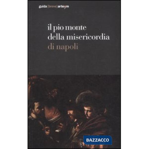 Pio Monte della Misericordia di Napoli. Guida breve. Ediz. illustrata (Il)