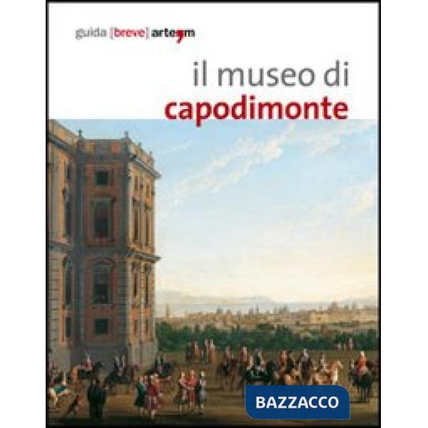 Museo di Capodimonte di Napoli (Il)