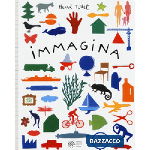 Immagina. Ediz. a colori