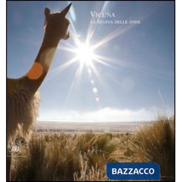 Vicuña. La fibra degli dei. Ediz. illustrata