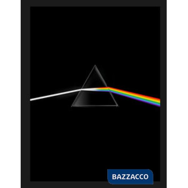 Pink Floyd. Their mortal remains. Ediz. a colori