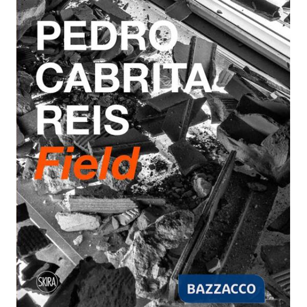 Pedro Cabrita Reis. Field