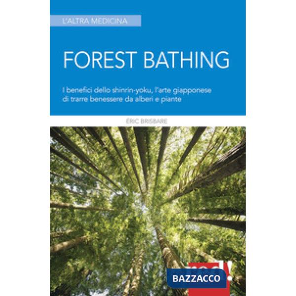 Forest bathing. I benefici dello Shinrin-yoku, l'arte giapponese di trarre benessere da alberi e piante