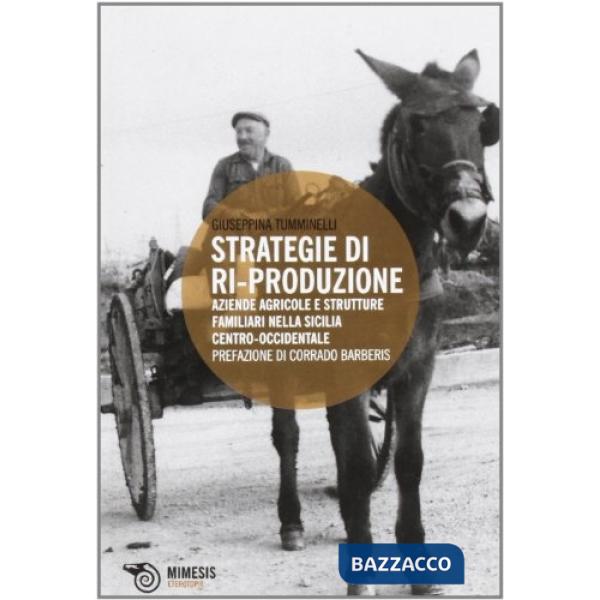 Strategie di ri-produzione. Aziende agricole e strutture familiari nella Sicilia