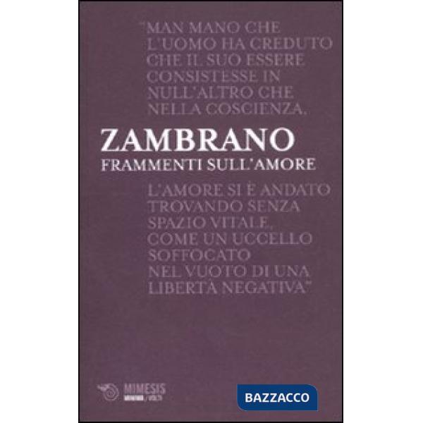 Frammenti sull'amore