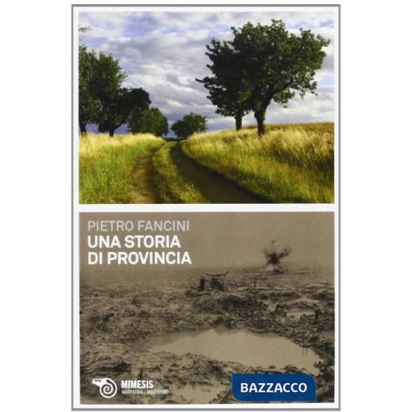 Storia di provincia (Una)