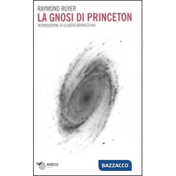 Gnosi di Princeton. Introduzione di Claudio Bonvecchio (La)