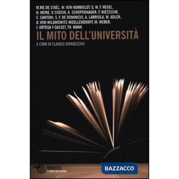 Mito dell'università (Il)