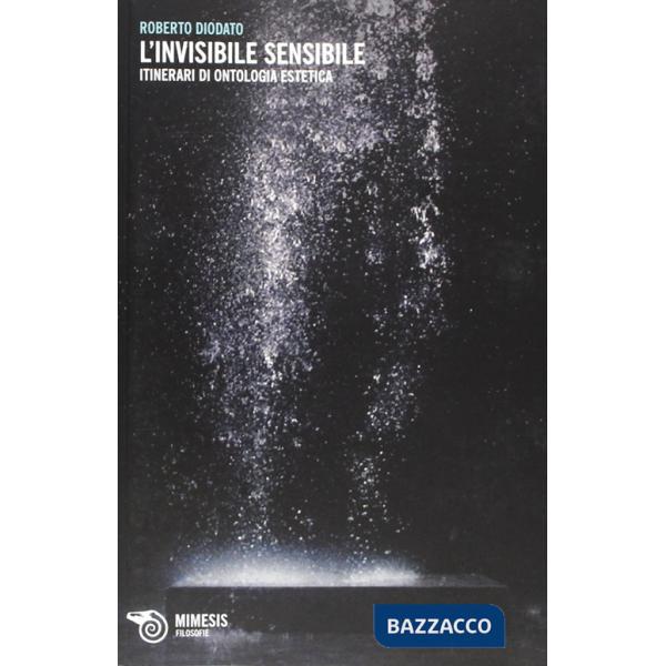 Invisibile sensibile. Itinerari di ontologia estetica (L')