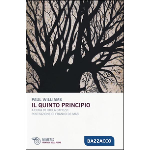 Quinto principio (Il)