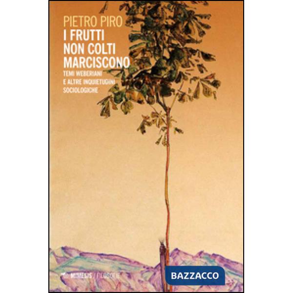Frutti non colti marciscono. Temi weberiani e altre inquietudini sociologiche (I