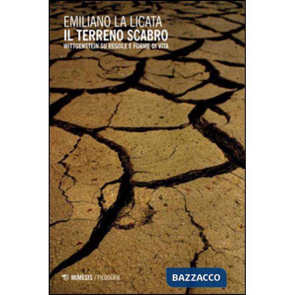 Terreno scabro. Wittgenstein su regole e forme di vita (Il)