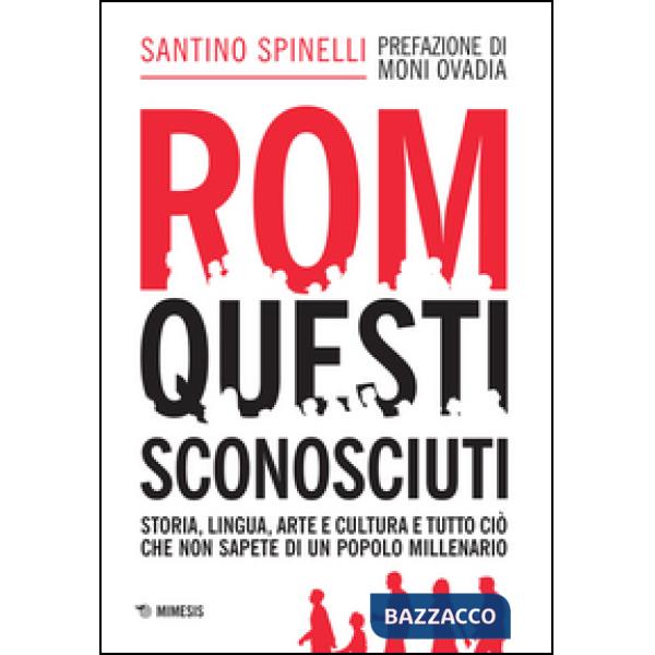 Rom, questi sconosciuti. Storia, lingua, arte e cultura e tutto ciò che non sape