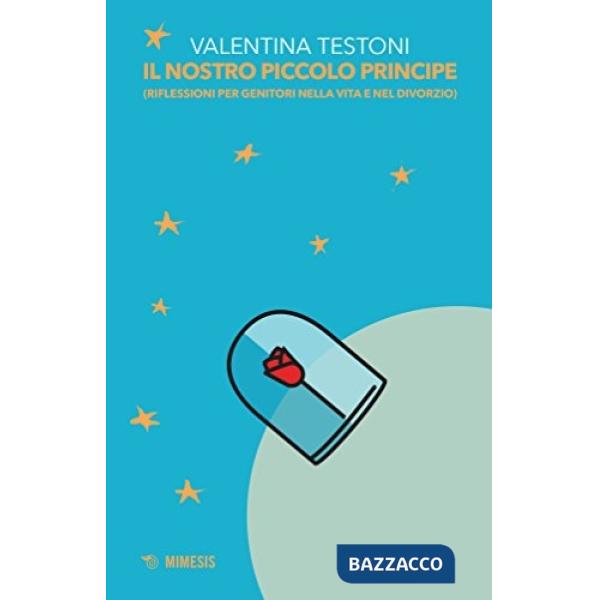 Nostro piccolo principe (riflessioni per genitori nella vita e nel divorzio) (Il)
