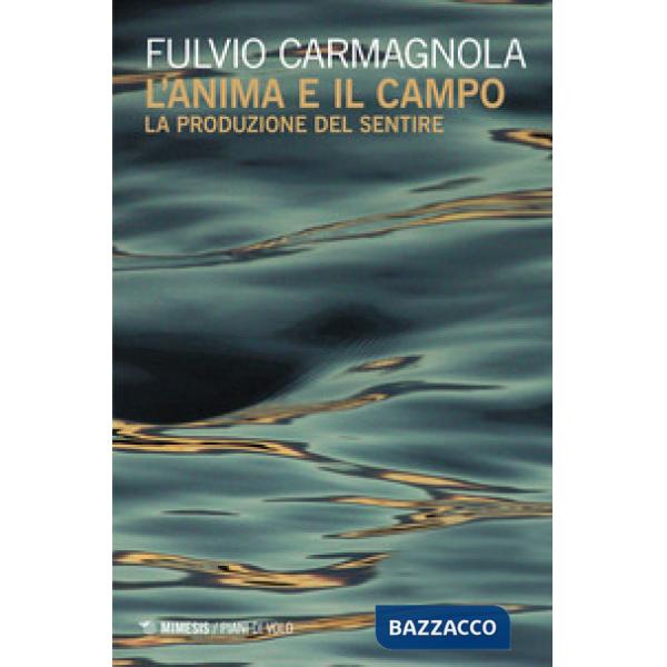 Anima e il campo. La produzione del sentire (L')