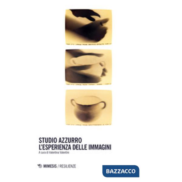 Studio Azzurro. L'esperienza delle immagini