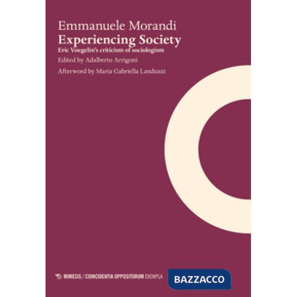 Experiencing society